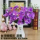 2 пучка Тайваня Phalaenopsis Deep Purple+Цветочная корзина
