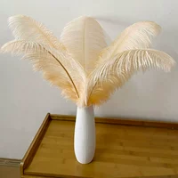 Цвета шампанского, 45-50см