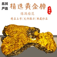 Khay trà vàng tổng thể lụa vàng Nanmu bàn trà gỗ rắn nhà nhỏ rễ khắc trà văn phòng Kung Fu bộ trà bộ ấm chén cao cấp