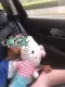 Trẻ em xe an toàn dây đeo vai gối hoạt hình chống rò rỉ gối ngủ xe với vành đai bảo vệ dễ thương đồ trang trí sang trọng - Trang trí nội thất