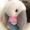 Hàn Quốc dễ thương thỏ búp bê thỏ đồ chơi sang trọng điện thoại di động treo lop tai thỏ búp bê tai thỏ dài tai thỏ - Đồ chơi mềm