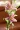Trang chủ phụ kiện 2 nước hoa lily nhân tạo hoa trang trí phòng khách hoa giả hoa hoa Phòng ngủ trưng bày hoa đơn - Hoa nhân tạo / Cây / Trái cây