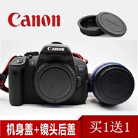 Canon, камера, объектив, D850, D1500, D77, D700, D6, D2