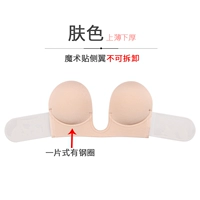 1623 Цвет кожи C имеет стальные кольца