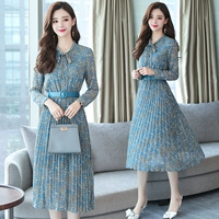 Осенняя длинная шифоновая длинная юбка, платье, в корейском стиле, городской стиль, облегающий крой, цветочный принт
