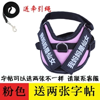 Розовая тетрадь с поводком