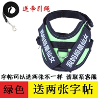 Зеленая тетрадь с поводком