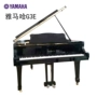 Yamaha grand piano G3E Nhật Bản nhập khẩu cho trẻ em luyện tập tại nhà chuyên nghiệp chơi đàn piano cũ - dương cầm roland rp30