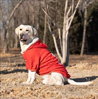 Толстовка Red Dog с шляпой