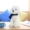 Mô phỏng Teddy Dog Plush Toy Cute Dog Doll than Bear Dog Hyena Girl Birthday Child Gift Doll - Đồ chơi mềm