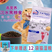 Kate Beth Sữa Cake Cat Food Thức ăn cho mèo trẻ 1-4 tháng Vắt sữa khi mang thai Mẹ mèo ăn 1,5kg - Cat Staples