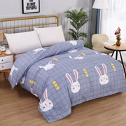 chăn dày duy nhất mảnh 1.8x2.0 ký túc xá Single Double 1,5m Khăn mùa đông ba mảnh - Quilt Covers