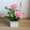 Hoa trang trí nhân tạo trang trí hoa giả phòng khách bàn hoa nhẹ nhàng cắm hoa bó hoa khô nhà nhỏ - Trang trí nội thất