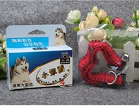 Большая собака