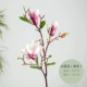 【Mu lianhua】