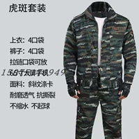 Tiger Spot Classic [Не бесплатно] Будет отправлен 1 комплект