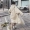 Big rêu 2018 quần áo mùa thu đông mới màu trắng trong phần dài của thời trang Hàn Quốc áo khoác lông giả nữ