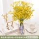 Желтая полная звезда 10 ветвей+фэнтезийные стеклянные вазы