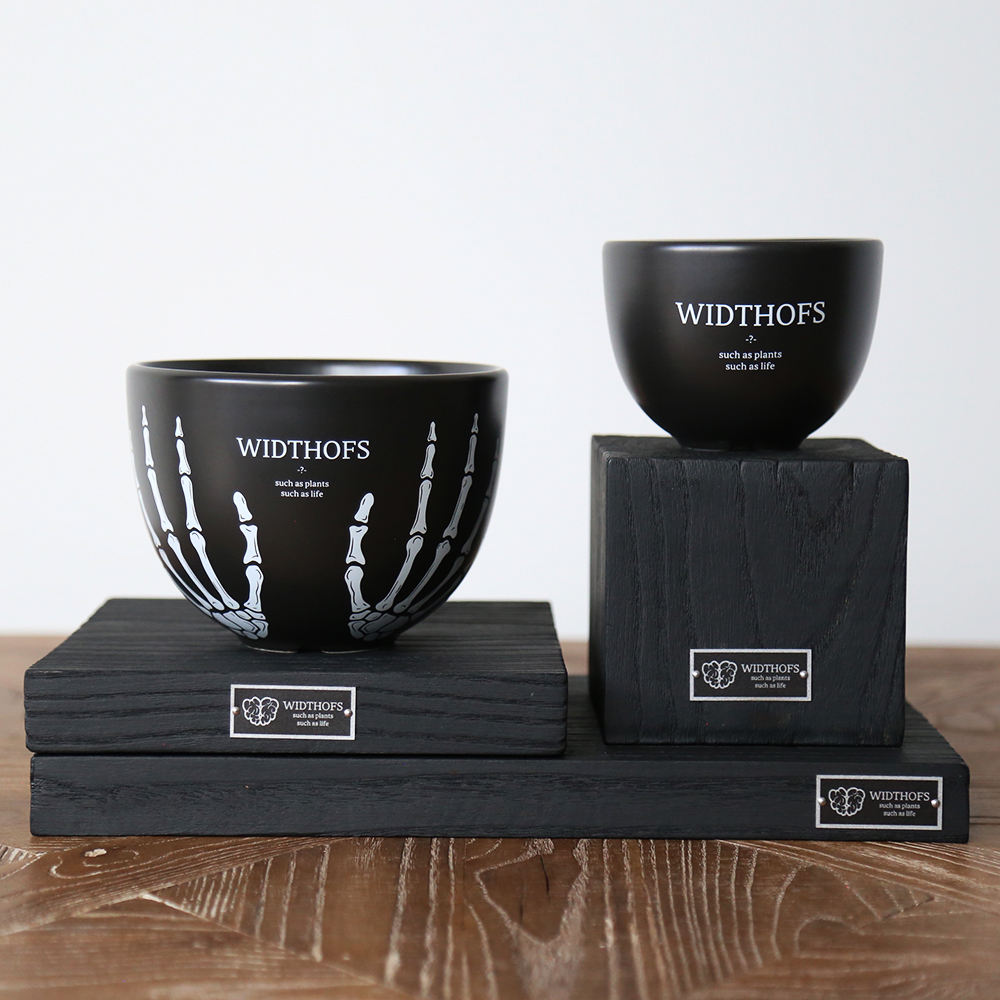 widthofs潮流多肉块根植物盆栽实木底座龟甲龙象牙宫龙舌兰日式-淘宝网