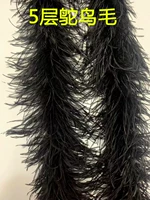 5 слой черной зашифрованной страус