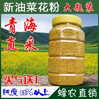 Свежая съедобная Qinghai Rapeseed Pure Natural Active Active Authentic Bee Follen без стены простаты 500G
