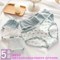 Свежая локальная сетка (5 установок)