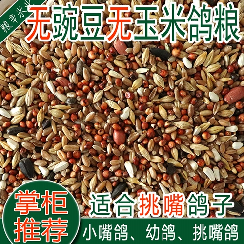10 фунтов кукурузной кукурузы без гороха молодые голубь пища, летающие питательные кормления, птичья пища, голубиная часовая голубиная пища голубей