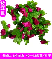 Розовая красная лоза роза 2 (10 бесплатная доставка)