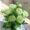 Hoa giả đơn hoa bó hoa nhựa bó hoa nhỏ vải vải trang trí hoa chèn hoa khô hoa lụa hoa vải - Hoa nhân tạo / Cây / Trái cây cây bàng giả