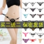 Thong phụ nữ quần lót gợi cảm ngọc trai massage ren hát trong suốt áo thun lông nóng sinh viên thực sự bắn quần lót nam thun lạnh