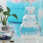 Bình thủy tinh - Vase / Bồn hoa & Kệ