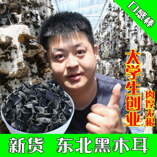 Северо -восток горы Чанбай черный гриб сухой чаша -безлюсная миска с полевой осенней грибкой горные товары 250 грамм