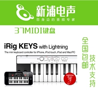 [Shinpu Electric Sound] IK Multimedia IRIG клавиша