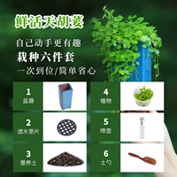 Шесть наборов посадки Tianhu