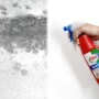 Công cụ tẩy mốc tường Lieneng làm sạch tường trắng để mốc trắng loại bỏ mùi mốc 500ml - Trang chủ nước tẩy rửa dầu mỡ nhà bếp