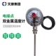 thép không gỉ phổ nhiệt kế lưỡng kim WSS-481 đồng hồ đo nhiệt độ trường hiển thị 0-600 độ An Huy Tiankang