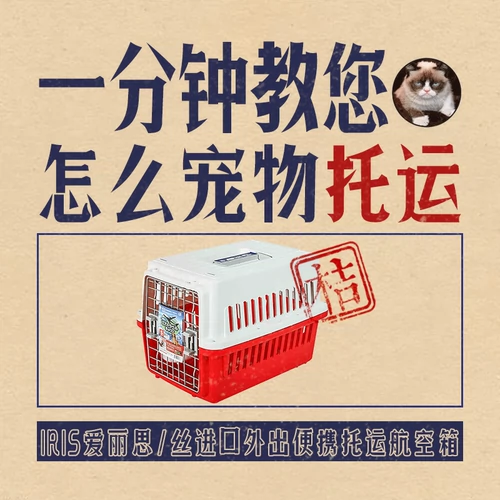 Японская радужная оболочка Алиса Pet Cat Dog, Dog, Airbox, автомобиль для портативной консигнационной коробки