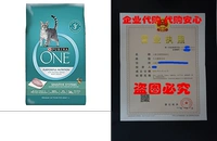 Purina ONE Sensitive Systems Adult Premium Cat Food