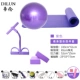 Фиолетовая подушка йоги+вкус+мяч+2 кирпичи