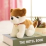 Xem mô tả chuông puppy đồ trang trí búp bê gối con búp bê nữ dog husky plush vải đồ chơi đồ chơi cho trẻ 1 tuổi