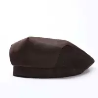 Кофейный цвет с шляпой сетки