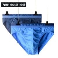 7881 Color Blue/Screen Blue (13976s)