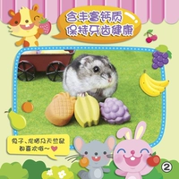 3 установки свежего фруктового частичного молярного камня