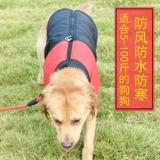 Тедди собачья одежда Зимняя одежда маленькая собака Биби медведь утолщенная осень и зимнее хлопок