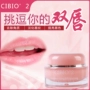 Thái Lan CIBIO2 Lip Mask Repair Lip Care Cream Exfoliating Facial Lip Moisturising Mặt nạ tẩy tế bào chết son dưỡng nuxe
