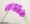 Hoa nhân tạo cao tầng đơn hoa phong lan hoa nhựa phòng khách hoa trang trí đám cưới hoa giả hoa khô - Hoa nhân tạo / Cây / Trái cây