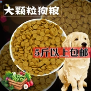 Thức ăn cho chó số lượng lớn Jinmao Teddy hơn gấu Husky Chima Demu chó trưởng thành hạt lớn chó trưởng thành 5 kg 10 kg 20 kg - Gói Singular