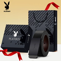 С уважением моделей подарочной коробки 02