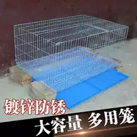 Crypto Bold Rabbit Cage Special Cicken Cage Cage Cage Cage
