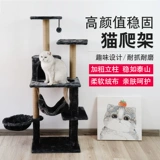 Кошка кошка скалолаза